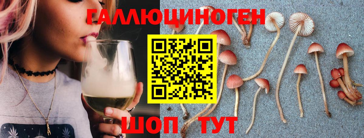 Псилоцибиновые грибы Psilocybe Кстово